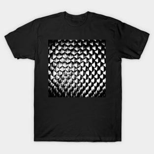 Amazingly Detailed Vector Graphic Black Dragon Scales Design T-Shirt